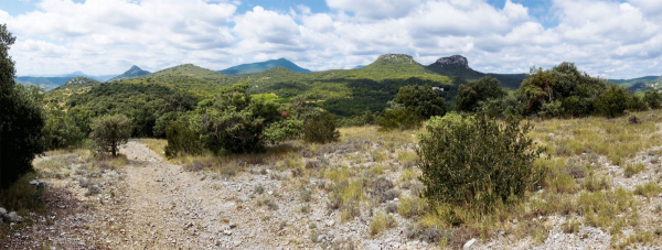 Habitat occupé par la Pie-grièche méridionale dans le sud de la France (source : salamandre.org)